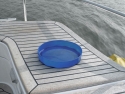 Blue Performance Gas flaske bakke