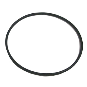 Sierra O-Ring Powerhead. Mercury