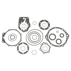 Sierra Gear Paknings Kit. Borg-Warner