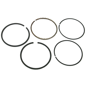 Sierra Stempelringe. Mercruiser