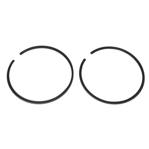 Sierra Stempelringe. Mercury