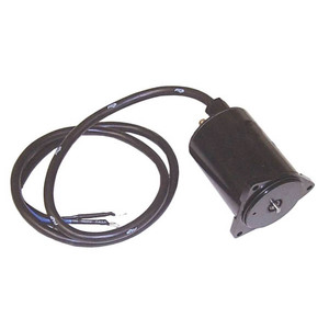 Sierra Tilt/Trim Motor. Yamaha