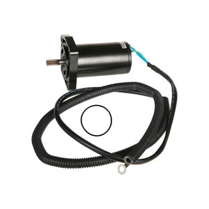 Sierra Tilt/Trim Motor. Yamaha