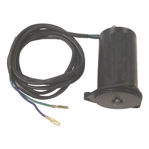 Sierra Tilt/Trim Motor. Evinrude/Johnson