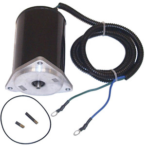 Sierra Tilt/Trim Motor. Suzuki