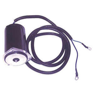 Sierra Tilt/Trim Motor. Yamaha