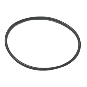 Sierra O-Ring. OMC