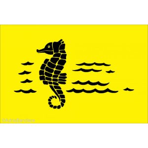 Fun flag,30x20, Sø Hest